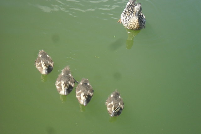 Foto: Margit Wellscheller