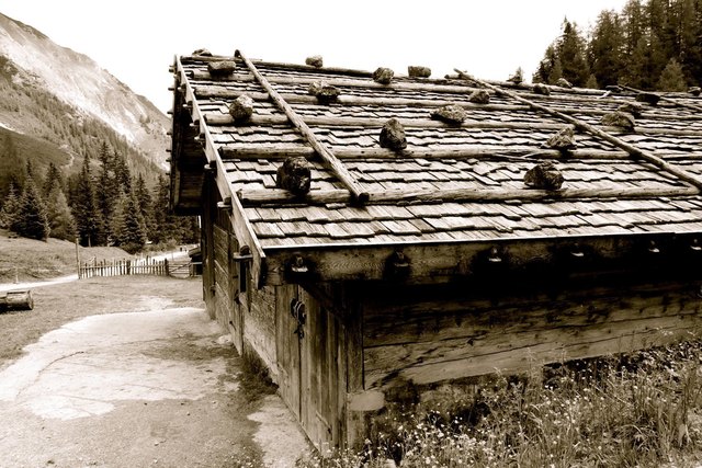 Foto: Katja Pedevilla