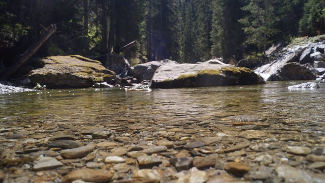 Foto: Moritz Genewein