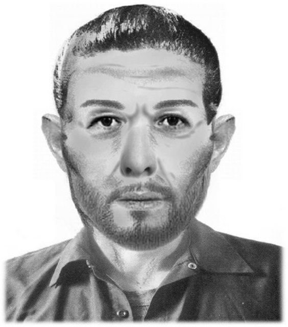 Ein Phantombild des Täters