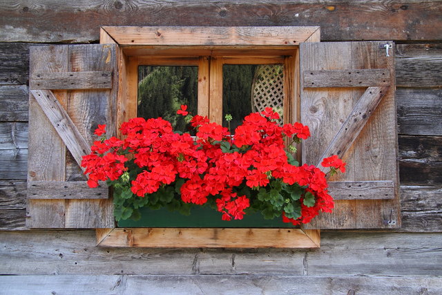 Mühlenfenster
