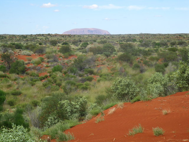 durch die Wueste.....zum Ayers Rock/Uluru