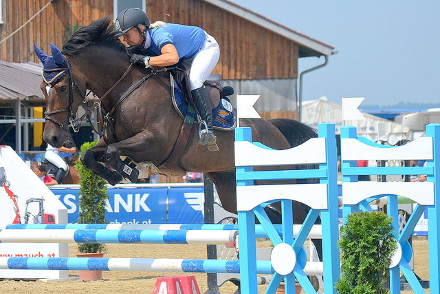 Ranshofen Classics II: Von 9. - 11. August wurden 23 Springprüfungen abgewickelt, viele Amazonen waren im Parcours. Die Siege beim S*-Bewerb am Sonntag holten sich jedoch die Herren. Das Stechen entschied Helmut Schönstetter (GER) mit einem Doppelsieg für sich, gefolgt von den Landsmännern Pascal Brunner und Carlo Beiswenger. Auf Platz 5 reihte sich der Österreicher Christian Juza vom Sportreitclub Lamprechtshausen ein (alle 0 Fehler).