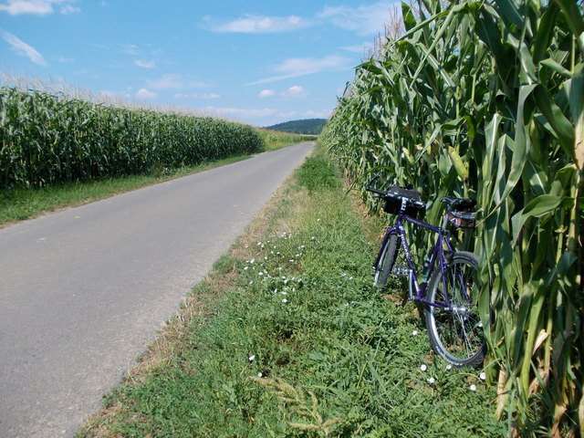 Raabtal-Radweg R 11
