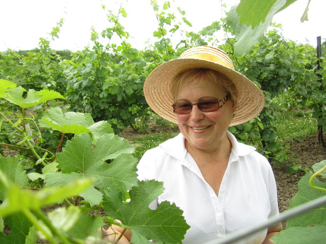 Den eigenen Weinstock hat sich Roswitha Eberhart mit „Rent a Rebstock“ gegönnt.Foto: Privat