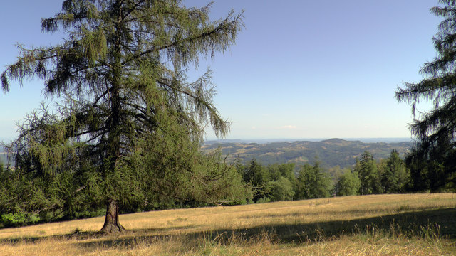 Die Fernsicht war an diesem Sonntag tadellos. Auch das Wetter lud zum Wandern oder Relaxen ein. Lediglich einige Wespen verhalfen mir zu einem rascheren Vorankommen - aber ich war zum Glück schneller!