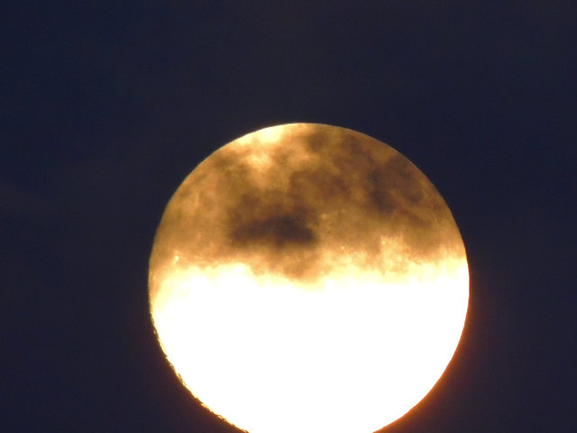 Mond mit Wollhauberl