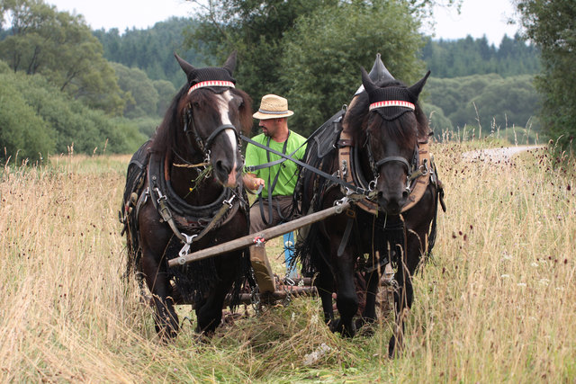 Foto: Limberger