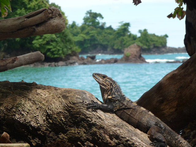 Urlaubserinnerung an Costa Rica