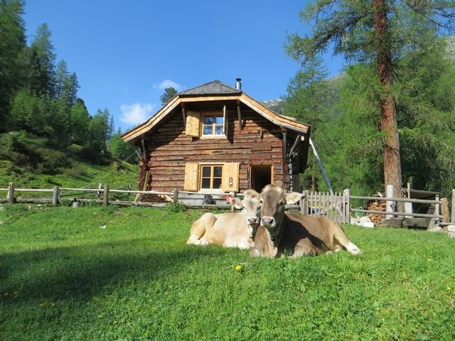 In der generalsanierten Landecker Skihütte im Urgtal stecken viele freiwillige Arbeitsstunden sowie rund 100.000 Euro an Material- und Geldspenden. | Foto: Fuzzi Huber