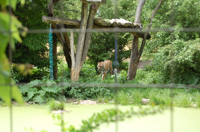 Tiergarten Schönbrunn