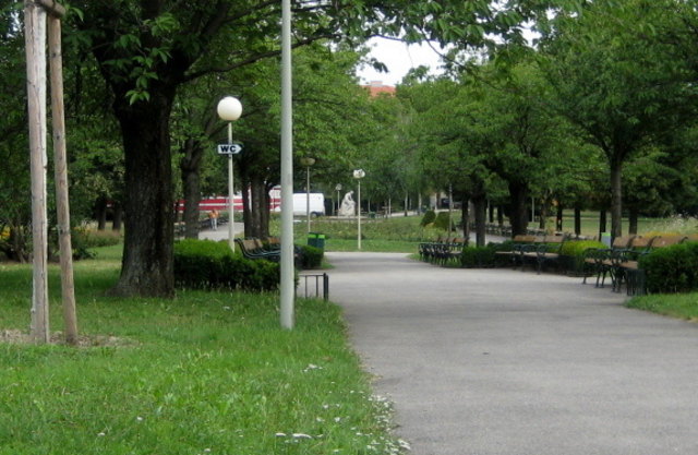 Der Hauptweg durchschneidet den Park