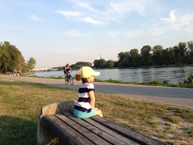 Donaublick