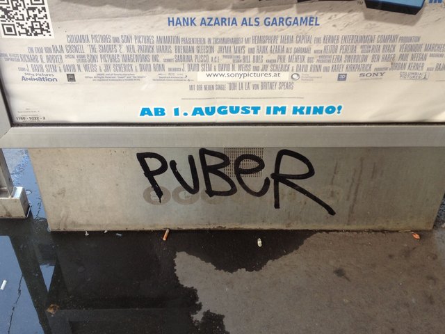 Das Markenzeichen des Sprayers "Puber" findet sich unter anderem auf der Neulerchenfelder Straße.