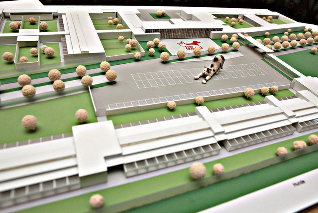 So wird das neue TierQuarTier in der Donaustadt aussehen. Geplantes Bauende ist 2015.