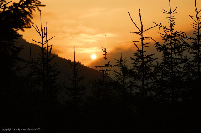 Wunderbare Tour auf die Brandstatt-Alm, belohnt wurde dass ganze mit diesem herrlichen Sonnenaufgang!