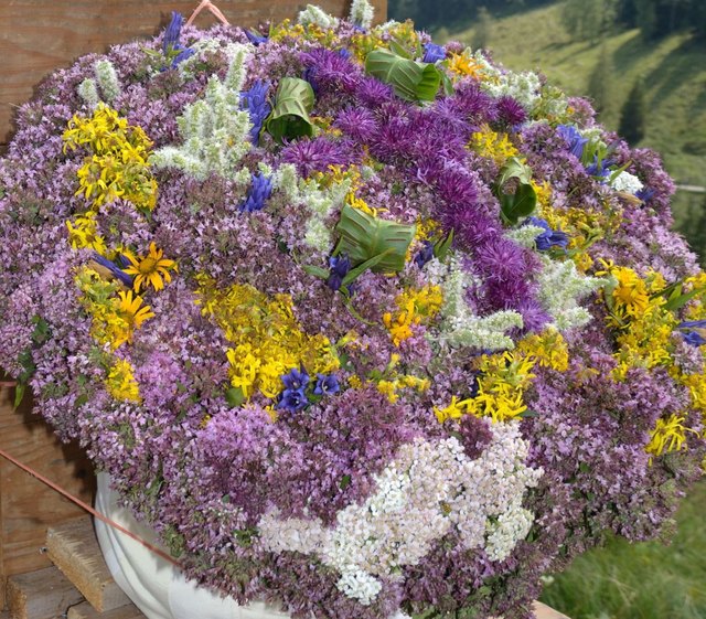 Kräuterbuschn - mit Wohlmut, Schafgarbe, Minze, Alpenastern, Goldraute, Enzian, Johanniskraut, Hirschzunge uvm. werden am Hohen Frauentag geweiht