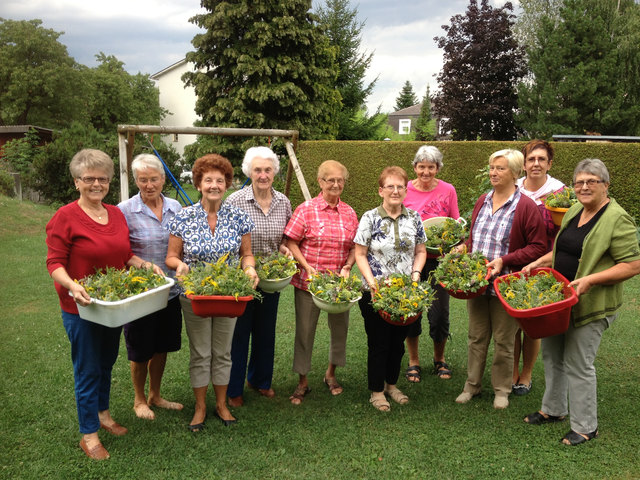 In guter Tradition haben die Damen der Bastelrunde von Wimpassing im Schwarzatale wieder schöne Kräutersträußchen gebunden. Am Fest der Aufnahme Mariens in den Himmel, 15. August, wurden die Kräutersträußchen von Pfarrer Leitner am Ende des Festgottesdienstes gesegnet, und danach von den Basteldamen an die Gläubigen verteilt.