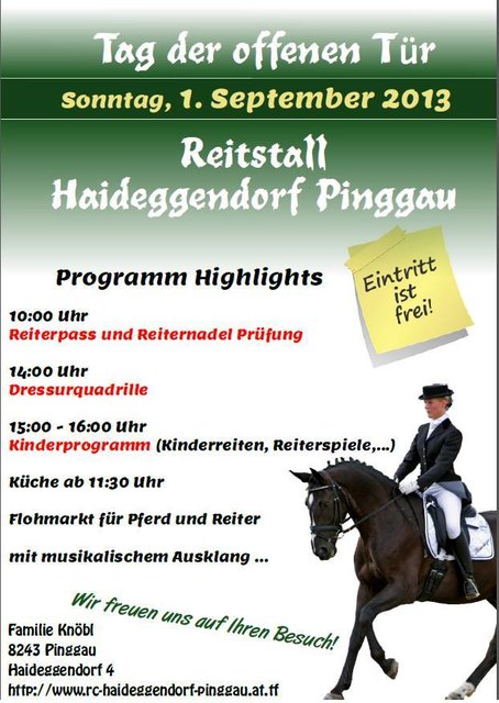 Reiternadel Thema auf meinbezirk.at Sprungparcours beim Reiterfest in 2020 | Kindergeburtstag