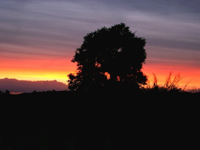Blick von unserer Terrasse in den abendlichen Horizont