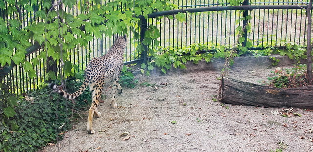 ... und immer rechts herum ...