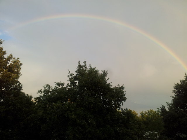 Der Regenbogen ist wie Dein Lächeln unter Tränen, Wien 21, Solveigh Berthold