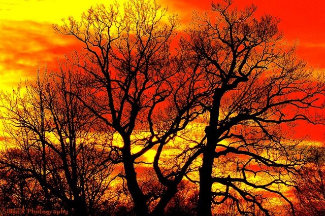 Der Himmel brennt