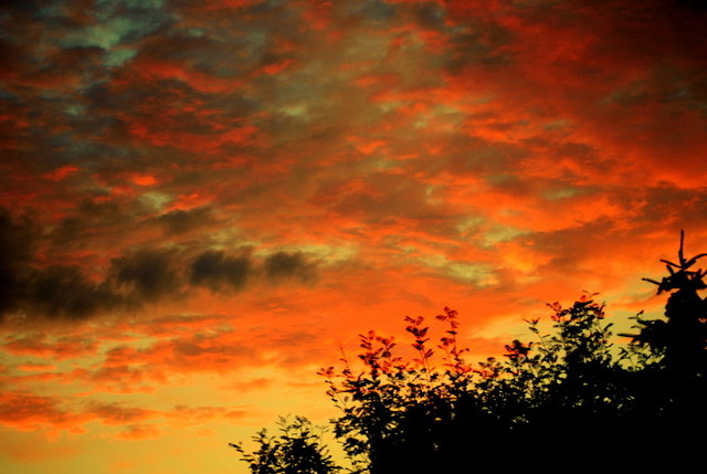 Sommerabend