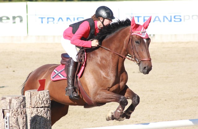 Verena Riedler und Ileen CH holen neben einem Sieg auch die Ränge 3 und 4 für den RC Brandnerhof.