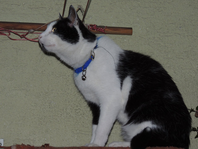 Was ist da oben?