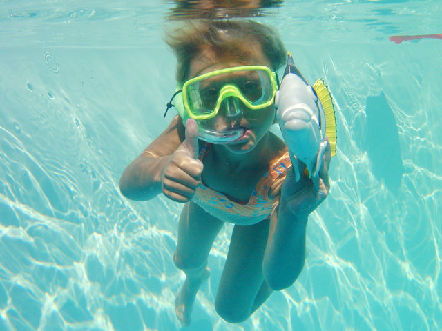 "Ready to dive"