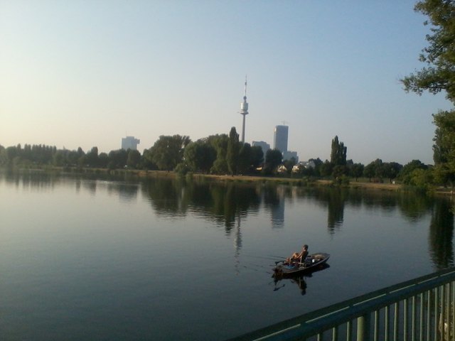 Morgenruhe an der Alten Donau