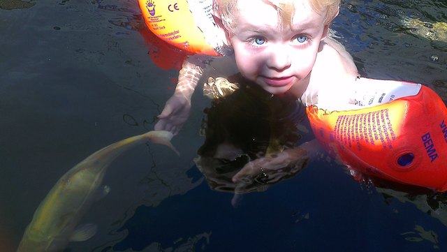 Hallo,ich bin Florian und schwimme in meinem Teich mit meinen Fischen.