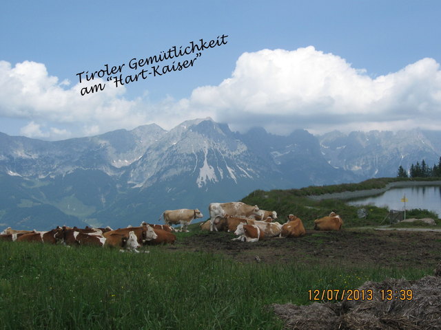 Tiroler Gemütlichkeit am "Hart-Kaiser"