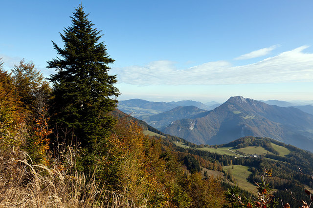 Unberührte Natur: Der Sonnkogel im oö. Ennstal. | Foto: Privat