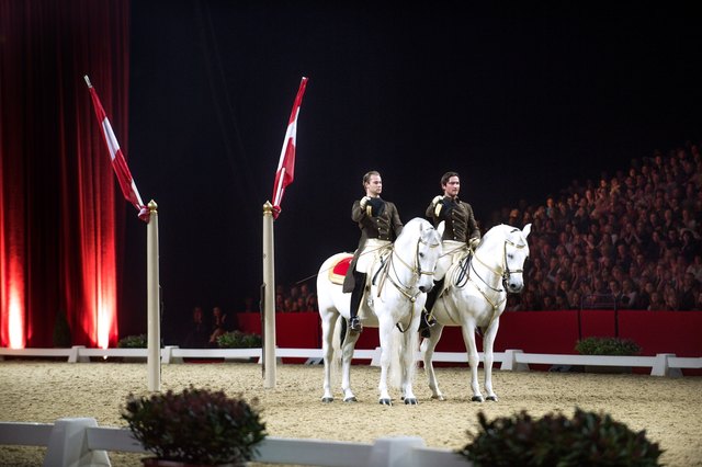Lipizzaner: Österreichs Botschafter auf Hufen begeistern die Zu- schauer auch im Ausland.