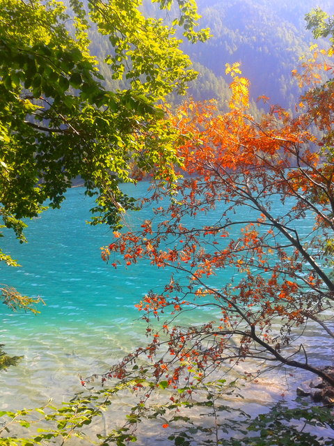 Bunte Blätter am Weissensee in Kärnten