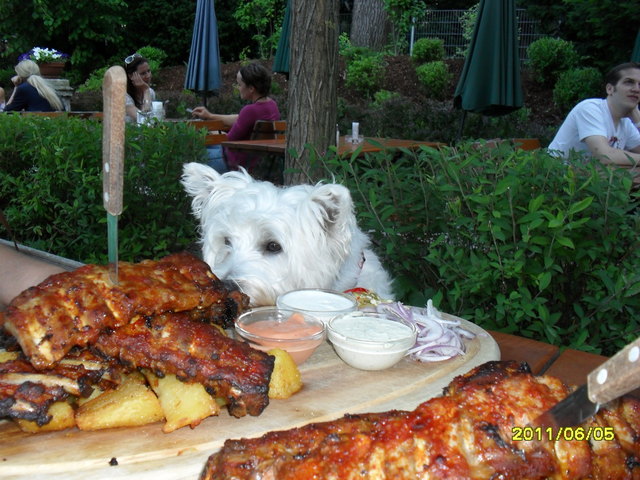 Sommergrillparty