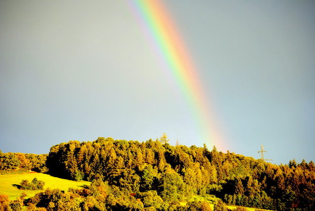 Regenbogen