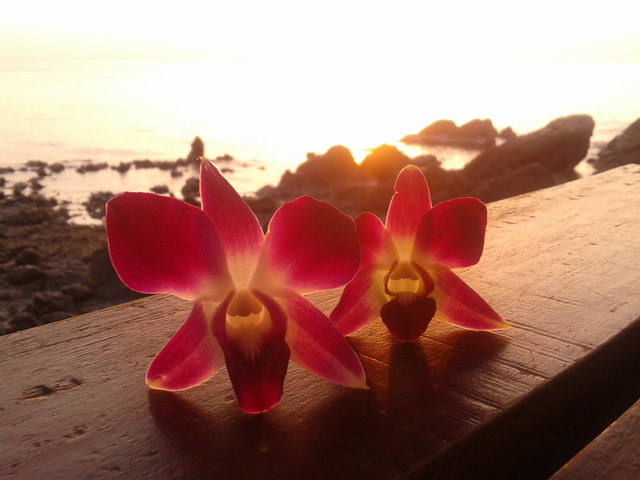 Thailand Koh Phangan