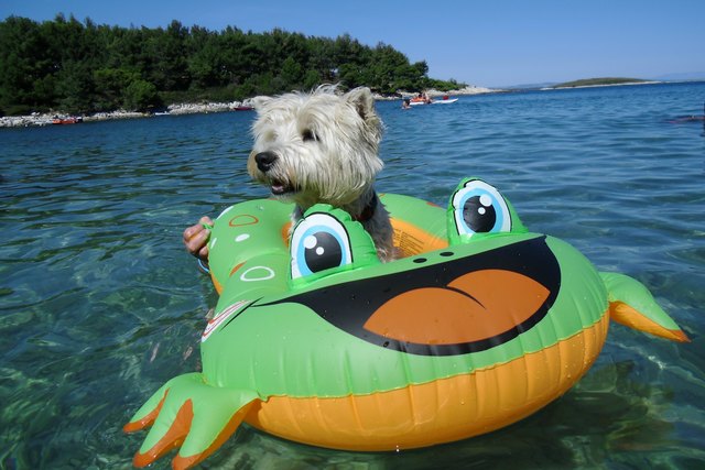 ich hab ein knallgrünes Gummiboot