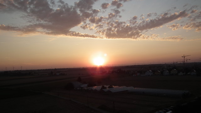 Guten Morgen liebe Sonne in Hirschstetten
