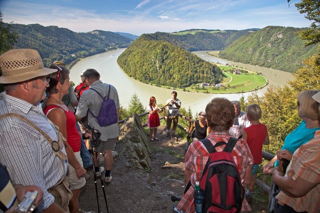 Die Naturwunderwanderung Schlögener Schlinge wird mit musikalischer Umrahmung zum Top-Event.