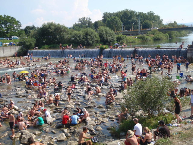 summer in the river