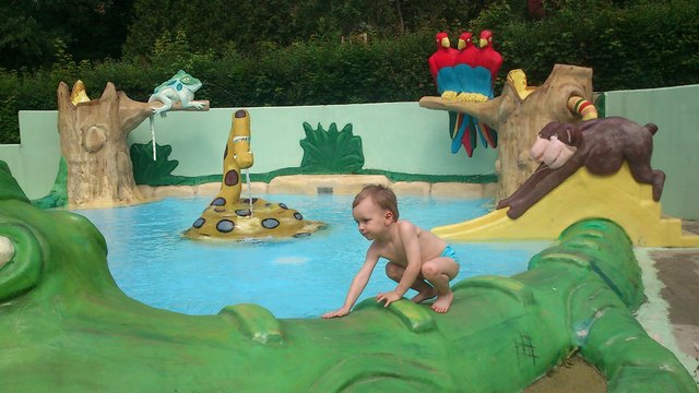 Könnte aus einem Dschungel-Aqua Park in den USA sein - ist aber das Kinderbecken im Schafbergbad!