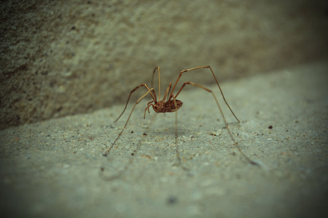 ...dachte ich mir, bis ich draufkam - der geht nirgendwo mehr hin! ....