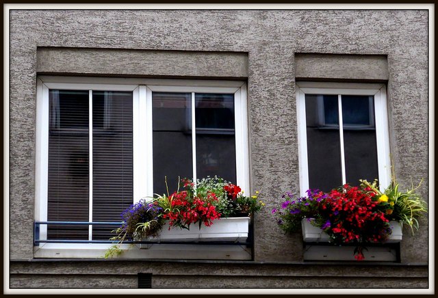 Eine Fassade der anderen Art, glatt, kalt und grau. Wäre da nicht dieser wundervoll üppige Blumenschmuck!