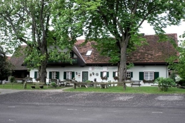 Mariazell frauen suchen mann, Stadl-traun partnersuche meine stadt. Steinbrunn single Leute aus kennenlernen sankt stefan ob stainz. Sie sucht ihn dwt. Mariazell frauen suchen mann. Professionelle
