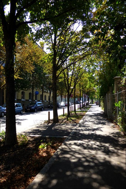 Herbstliche Stimmung beim Bahnhof Hernals der Vorortelinie