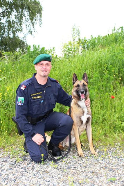 Polizei-Diensthund „Zeck of Royal Firefox“ erschnüffelte den verdächtigen Flüchtigen aus dem Bezirk Korneuburg. | Foto: LPD NÖ